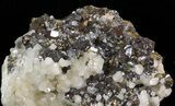 Sphalerite, Quartz, Calcite & Chalcopyrite Association - Bulgaria #41769-2